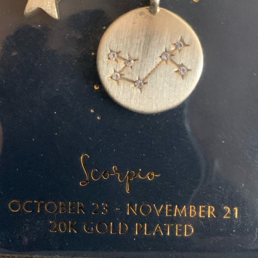 Zodiac Sign Necklace (SCORPIO) - Picture 2 of 2